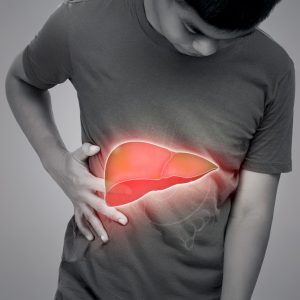 FATTY-LIVER